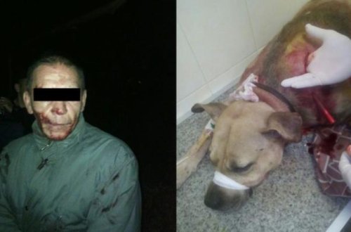 ŞOK: 46 yaşlı kişi iti parçalayıb qanını içdi və... - FOTO
