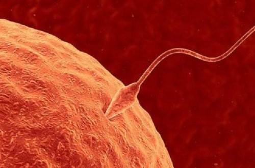 Avstriya alimləri təəccübləndirdi: Gözəllik və əbədi cavanlıq resepti tapıldı!