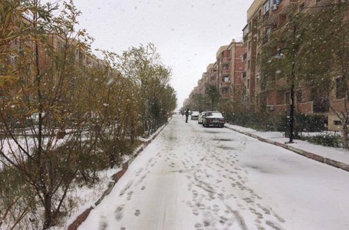 Bakıya ilk qar yağdı - FOTOLAR + VİDEO