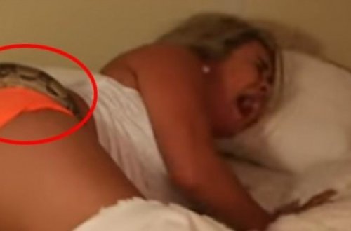 Yataqda sevgilisinə elə pis sürpriz etdi ki... - video