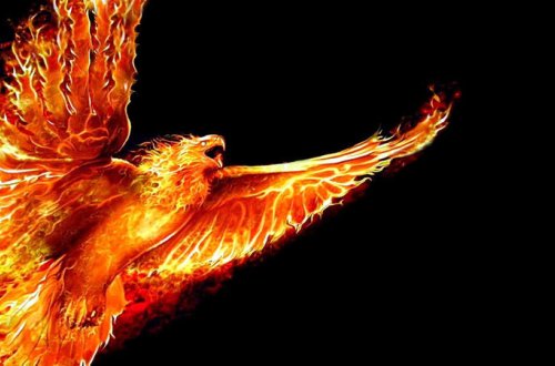 2017-ci il üçün DƏHŞƏTLİ PROQNOZLAR