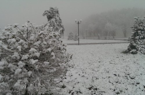 Azərbaycana nə qədər qar yağıb? - Açıqlama