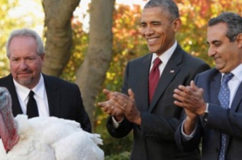 Obama hindquşunu əfv etdi - FOTO