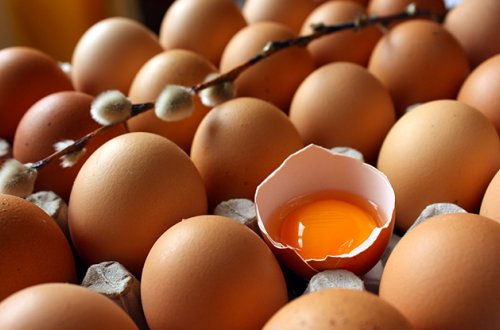 Baytarlıq Xidmətindən süni yumurta ilə bağlı əhaliyə - Müraciət