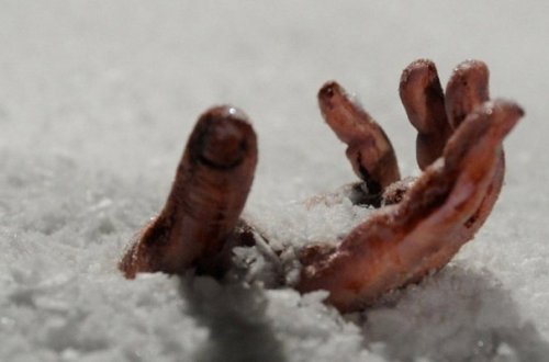 Qusarda 45 yaşlı kişi donaraq öldü