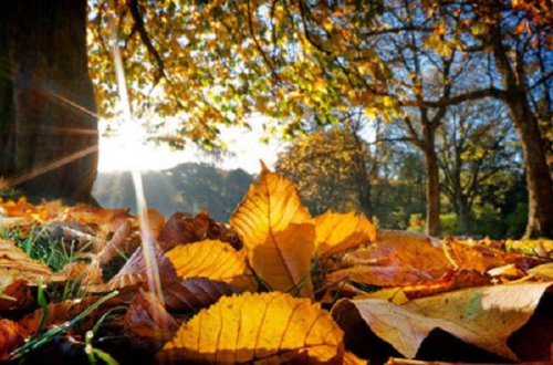 Bazar gününün hava proqnozu
