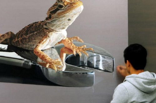 Fotorealizmin yaratdığı möcüzələr - FOTOLAR