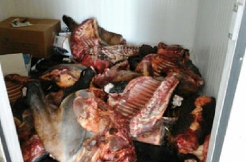 Qəbələdə aşkarlanan at cəmdəkləri zərərsizləşdirilib