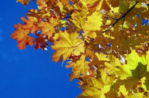 Həftənin ilk iş günü hava necə olacaq?