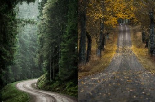 Təbiət deyil, möcüzədir - FOTOLAR