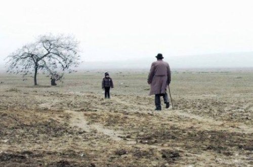 “Qara bağ” dünya arenasına çıxır - Video