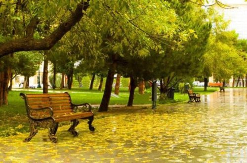 Sabahın HAVA PROQNOZU