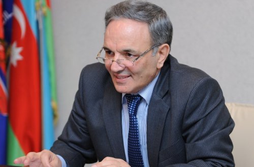 “Bir xalqın xalq olması üçün dilə qayğısı mühüm şərtdir” - Əflatun Amaşov