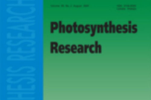 Azərbaycanlı alimlərin məqaləsi birinci yeri tutub