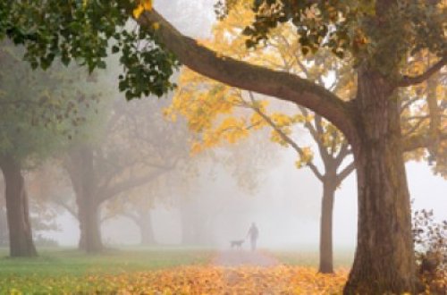 Dekabrın 3-dək hava şəraiti qeyri-sabit keçəcək