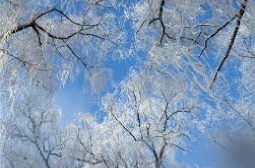 Dekabr ayına olan hava proqnozu açıqlanıb