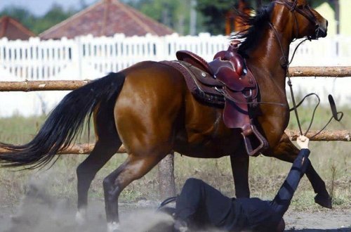 Bakıda at 20 yaşlı oğlanı sürüdü