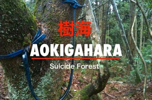 İntihar meşəsi - Yapon xalqı burada intihar edir