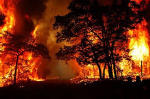 ABŞ-da meşə yanğınlarında 13 nəfər ölüb