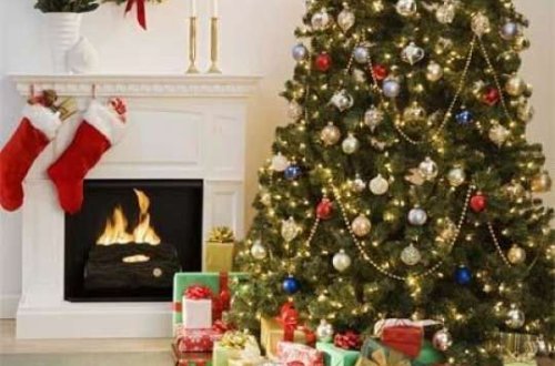 Yolka bəzəmək neçəyə başa gələcək? - Video