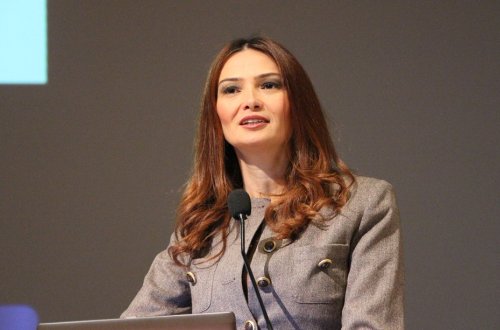 Qənirə Paşayeva Milli Məclisdə müəllimlərin problemlərindən danışıb