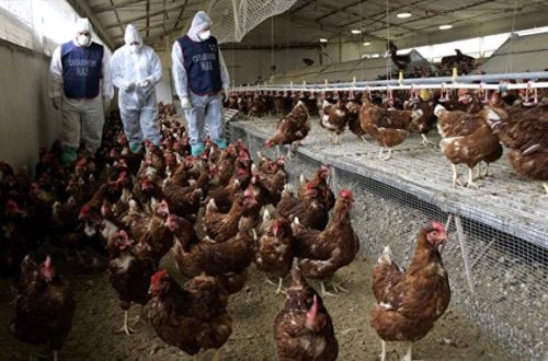 Avropa Birliyi həyəcan təbili çalır