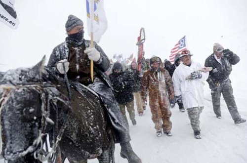 Donsalar da, etirazı dayandırmırlar - Maraqlı Fotolar