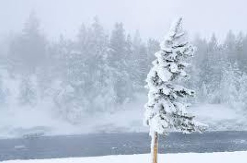 Hava soyuyacaq, qar yağacaq, güclü külək əsəcək - Xəbərdarlıq