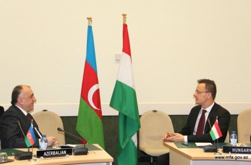 Məmmədyarov macarıstanlı həmkarı ilə görüşdü