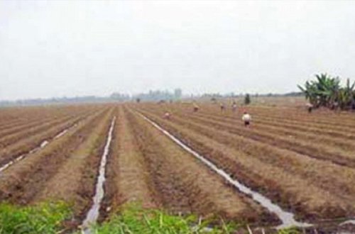 200 min hektara yaxın torpaq dövlətə qaytarıldı