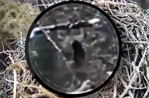 İnternetdə böyük qalmaqal yaradan ŞOK VİDEO