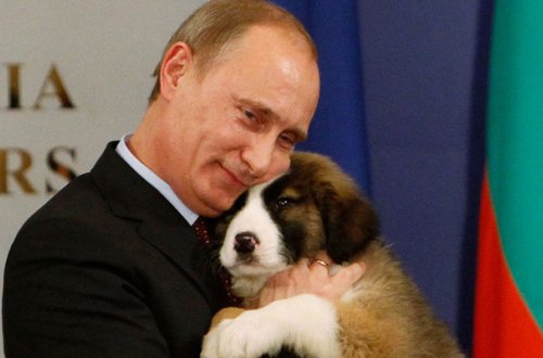 Putin yaponların it hədiyyəsini rədd etdi