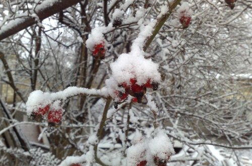 Rayonlara yenə qar yağacaq - Sabahın havası