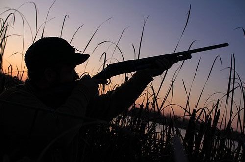 Qanunsuz ov etdikləri üçün saxlanıldılar - Ağdaş sakinləri