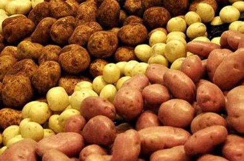 Azərbaycan özünü kartofla tam təmin edəcək
