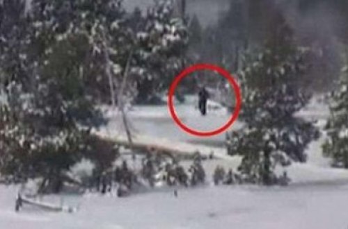 O nəhəng məxluq Azərbaycanda da göründü - SAKİNLƏR DANIŞIR - VİDEO