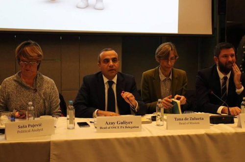 Azay Quliyev Makedoniyada seçkiöncəsi durumu dəyərləndirib