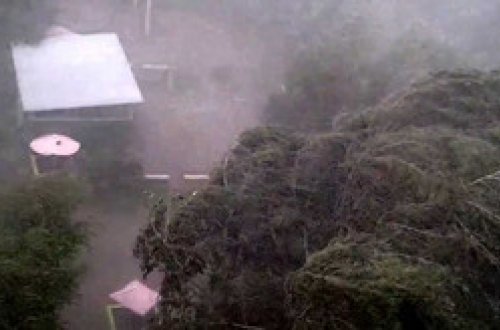 Dünyanı 2016-ci ildə sarsıdan böyük təbii fəlakətlər