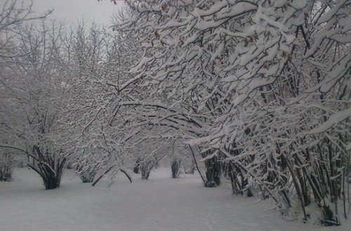 Sabahın HAVASI: Qar gəlir
