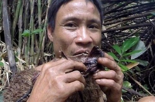 41 il meşədə yaşayan insan – FOTO