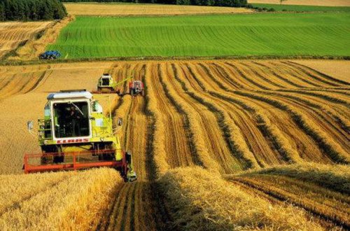 Aqrar sahədə elmi tədqiqatların aparılması stimullaşdırılacaq