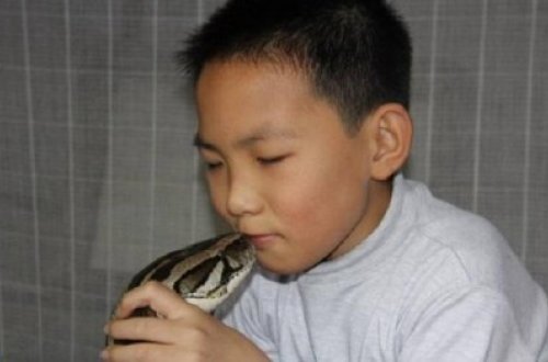 Çində bir ailə nəhəng dişi pitonu oğluna dayə seçdi - FOTOLAR