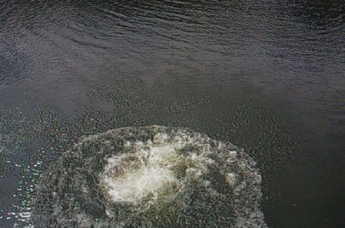 Bakı sakini özünü gölə ataraq intihar edib