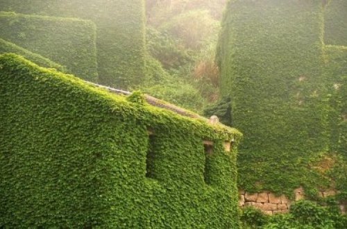 Bitkilərin işğal etdiyi şəhər – MÖHTƏŞƏM FOTOLAR