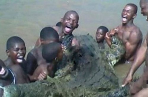 ŞOK! Dişi timsah onu zorlamaq istəyən üç qardaşı parçaladı