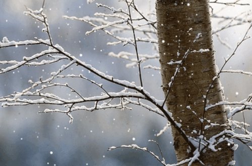 Paytaxtda yağış, bölgələrdə qar yağacaq