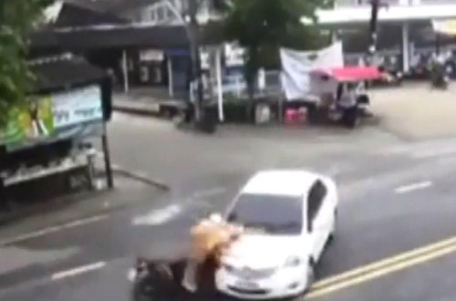 Eyni yol, eyni nəqliyyat vasitəsi, EYNİ QƏZA - VİDEO