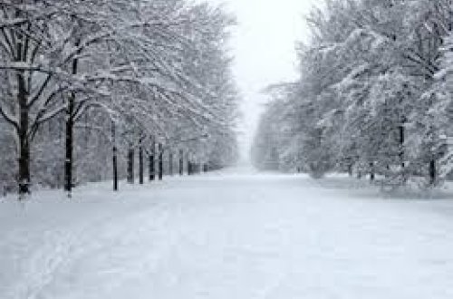 Sabahın hava proqnozu: Qar, yağış, külək...