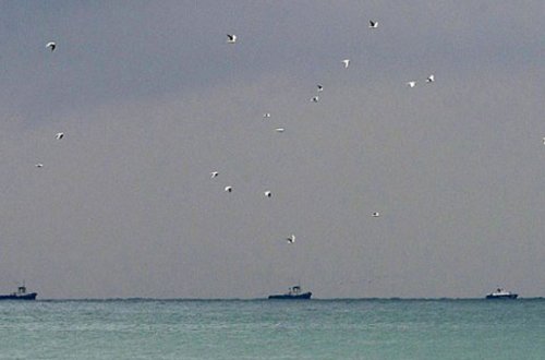 Qəzaya uğrayan təyyarədən ilk görüntülər — Cəsədlər belə çıxarılır + FOTOLAR