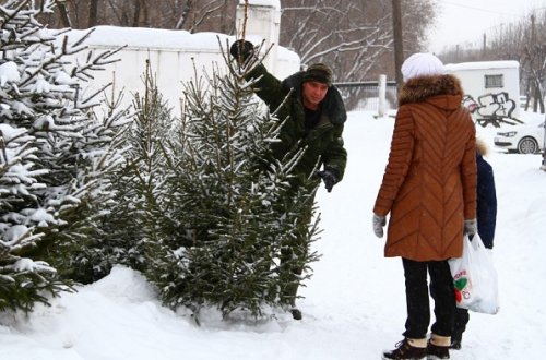 Rusiyada yolka satan azərbaycanlı tutuldu